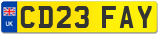 CD23 FAY