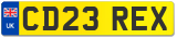 CD23 REX