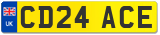 CD24 ACE