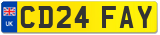 CD24 FAY