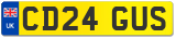 CD24 GUS