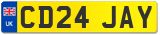 CD24 JAY