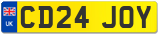 CD24 JOY