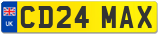 CD24 MAX