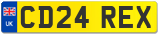 CD24 REX