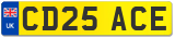 CD25 ACE