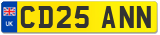 CD25 ANN