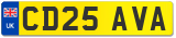 CD25 AVA