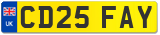 CD25 FAY