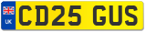 CD25 GUS