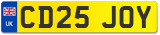 CD25 JOY