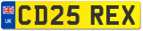 CD25 REX