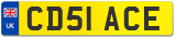 CD51 ACE