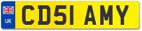 CD51 AMY