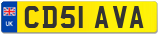 CD51 AVA