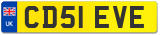 CD51 EVE