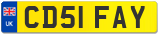 CD51 FAY