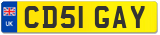 CD51 GAY