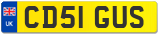 CD51 GUS