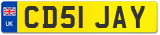 CD51 JAY