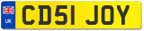 CD51 JOY