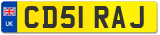 CD51 RAJ