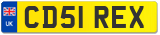 CD51 REX