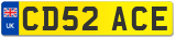 CD52 ACE