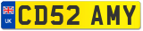 CD52 AMY