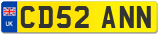 CD52 ANN