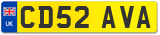 CD52 AVA