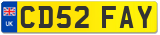 CD52 FAY