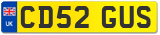 CD52 GUS