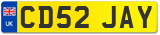 CD52 JAY