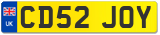 CD52 JOY