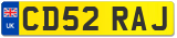 CD52 RAJ