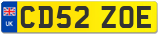 CD52 ZOE