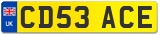 CD53 ACE