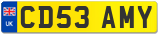 CD53 AMY