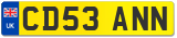 CD53 ANN