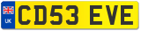 CD53 EVE