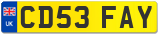 CD53 FAY