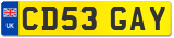 CD53 GAY