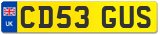 CD53 GUS