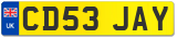 CD53 JAY