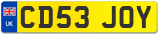 CD53 JOY