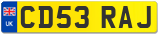 CD53 RAJ