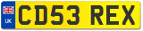 CD53 REX