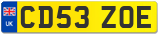 CD53 ZOE