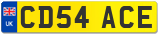 CD54 ACE